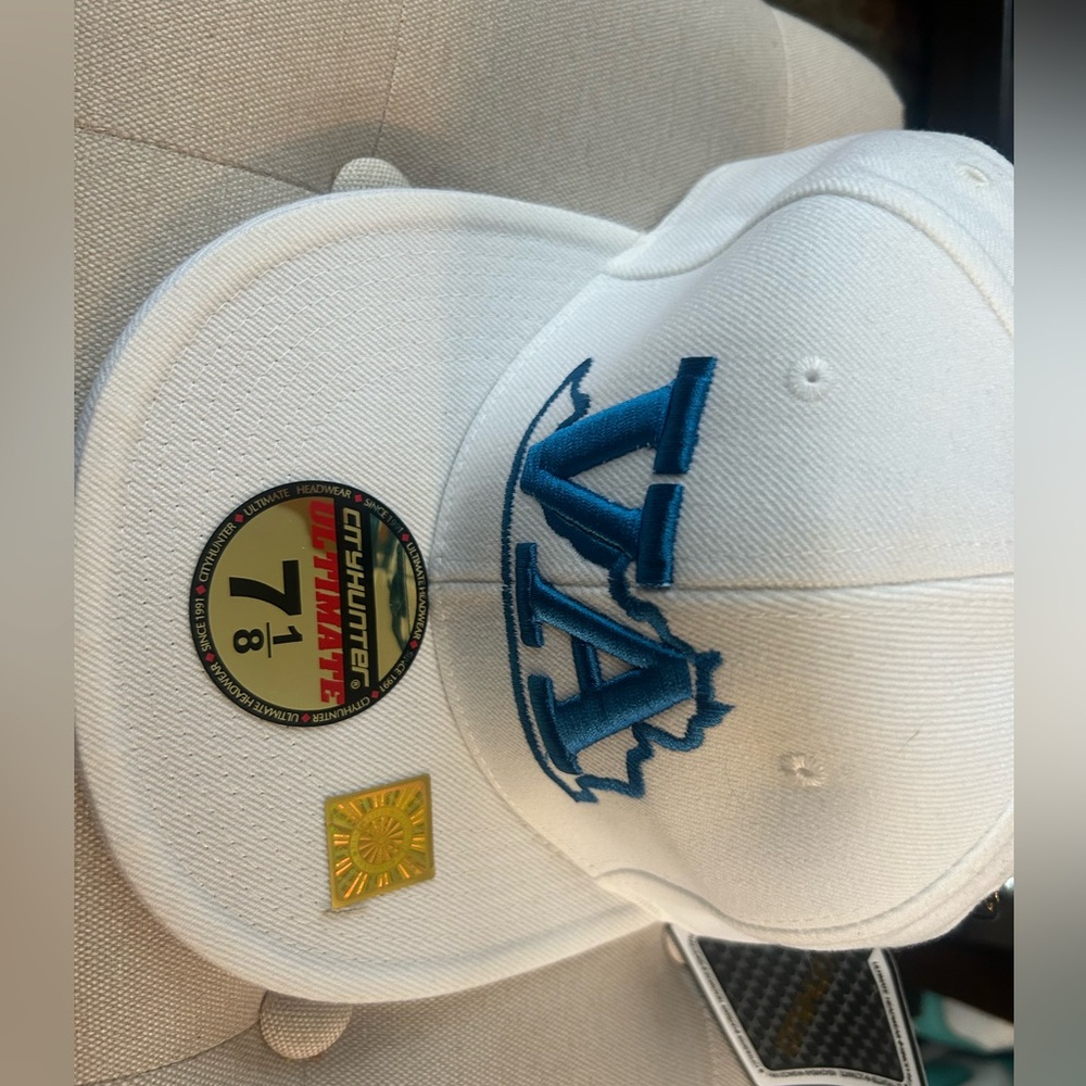 NWT VA ball cap
